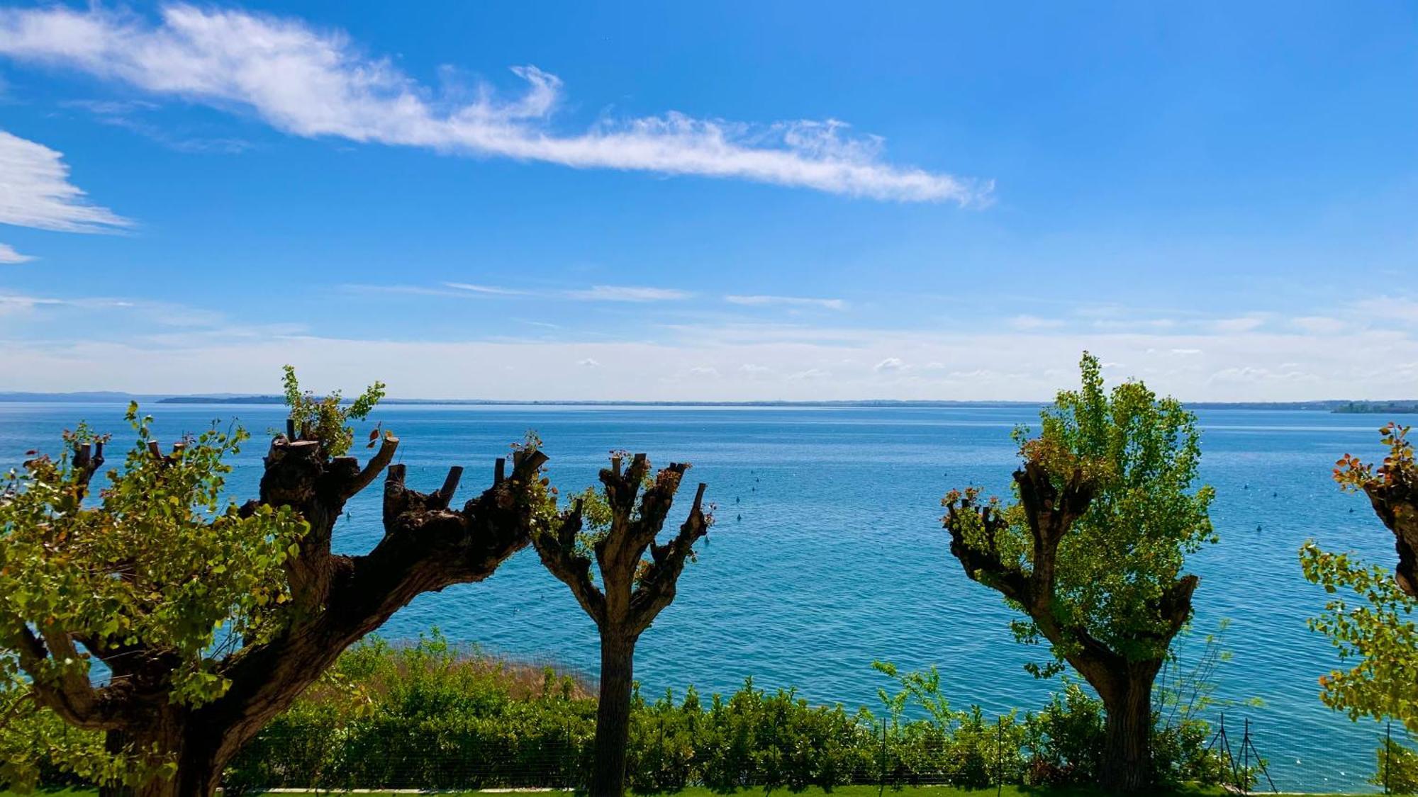 Campeggio Della Colombaia Padenghe sul Garda Eksteriør billede