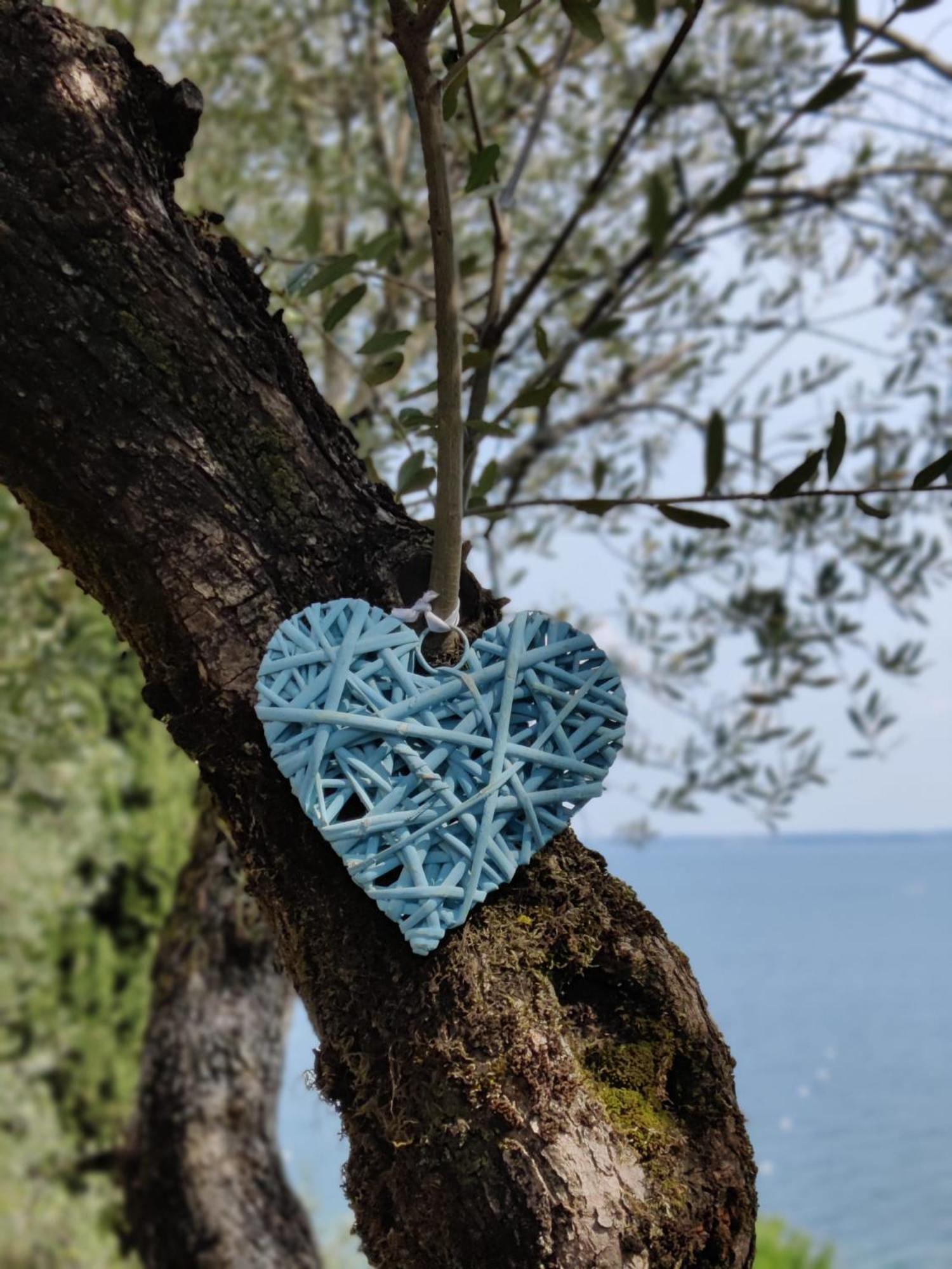 Campeggio Della Colombaia Padenghe sul Garda Eksteriør billede